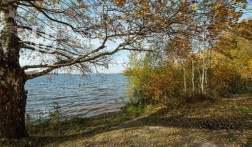 Участок рядом с водой в Витенево