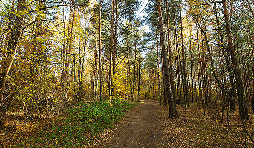 Участок рядом с водой в Витенево