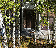 Жаворонки-1