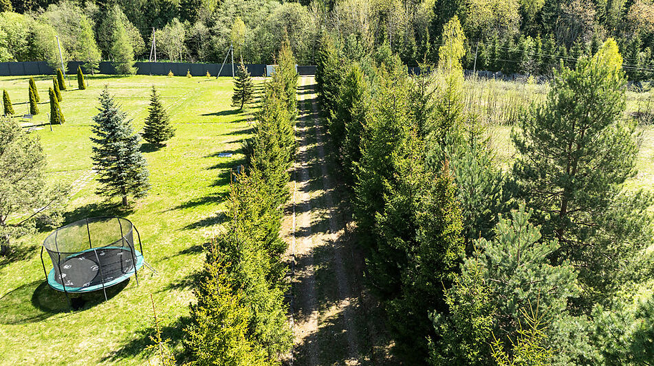 Усадьба в окружении леса