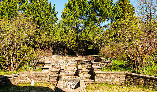 Усадьба в окружении леса