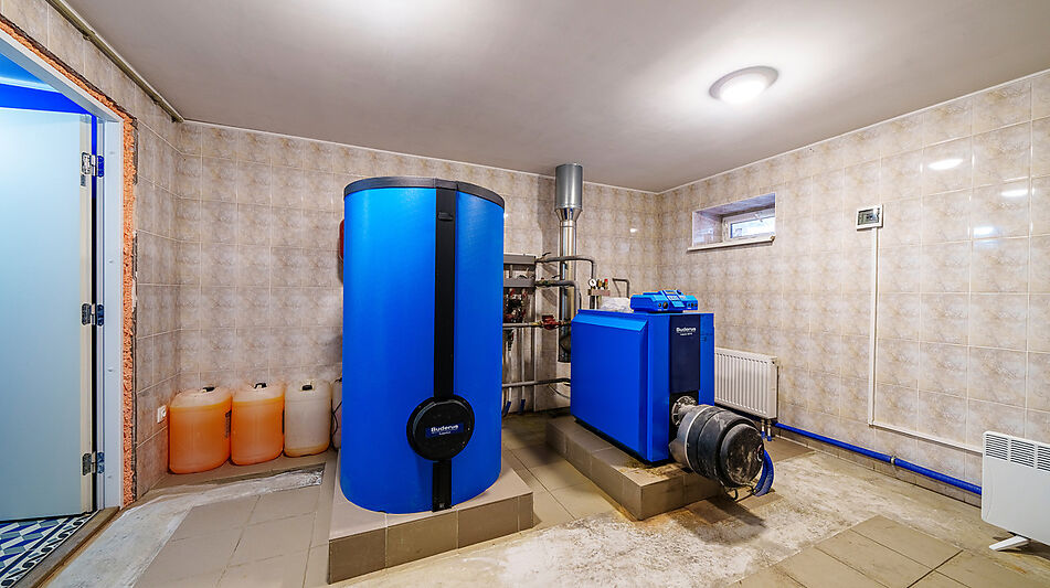 Усадьба в окружении леса