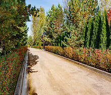 Истринская Ривьера