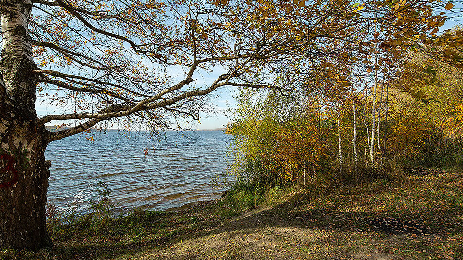 Участок рядом с водой в Витенево