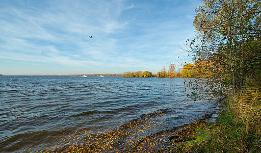 Участок рядом с водой в Витенево