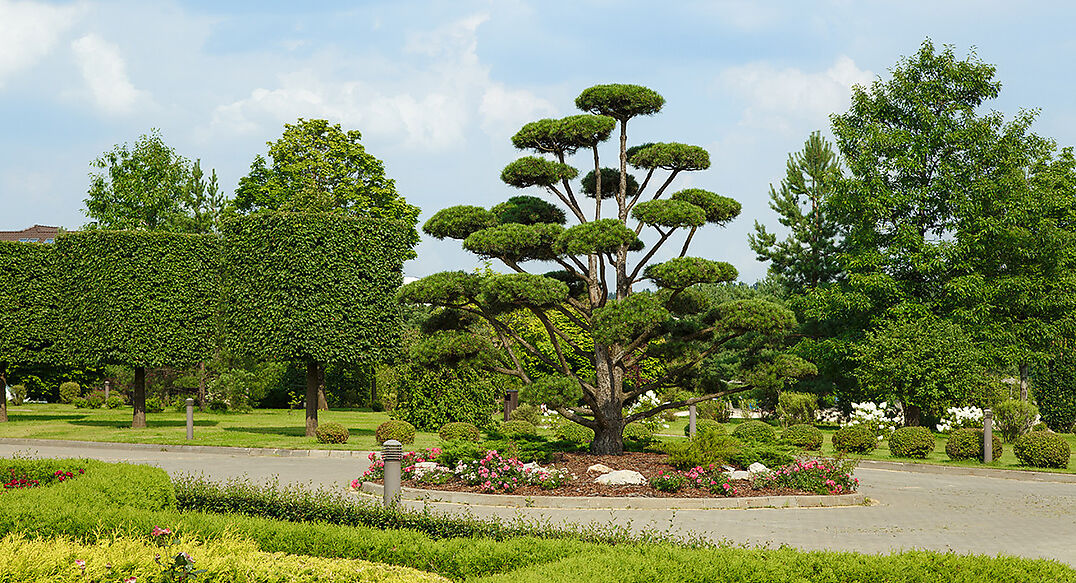 Ренессанс Парк