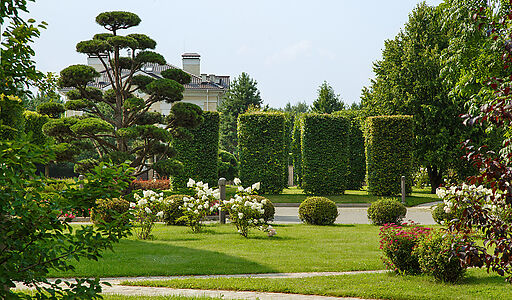 Ренессанс Парк