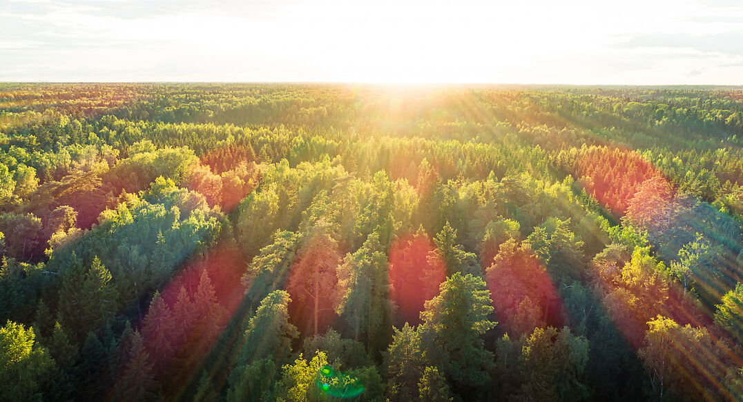 Марьина Гора