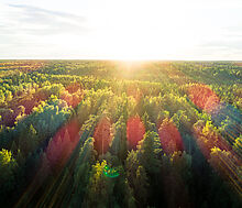 Марьина Гора