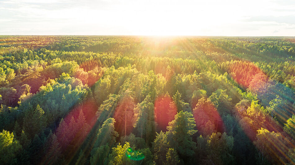 Дом в поселке Марьина Гора