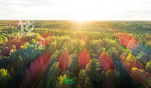 Дом в поселке Марьина Гора