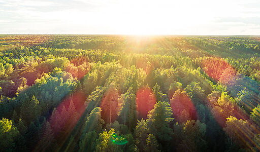 Дом в поселке Марьина Гора