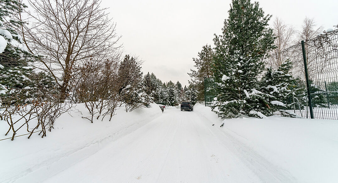 Морозово парк