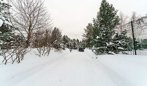 Морозово парк