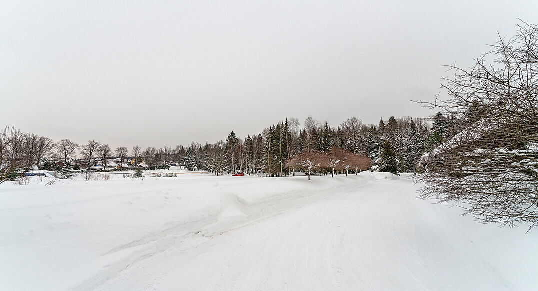 Морозово парк