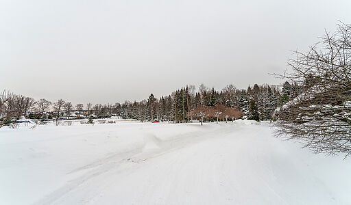 Морозово парк