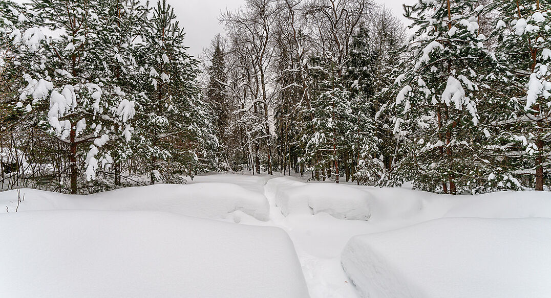 Морозово парк