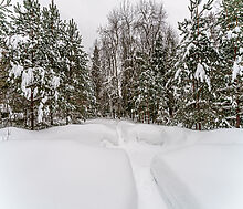 Морозово парк