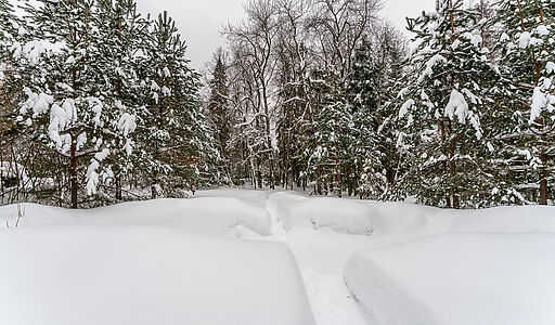 Морозово парк