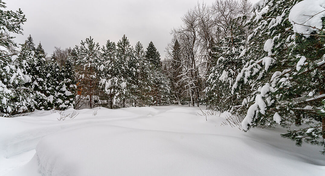 Морозово парк