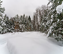 Морозово парк