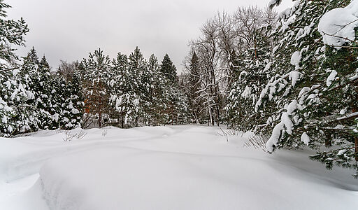 Морозово парк