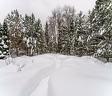 Морозово парк