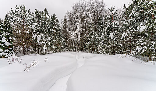 Морозово парк