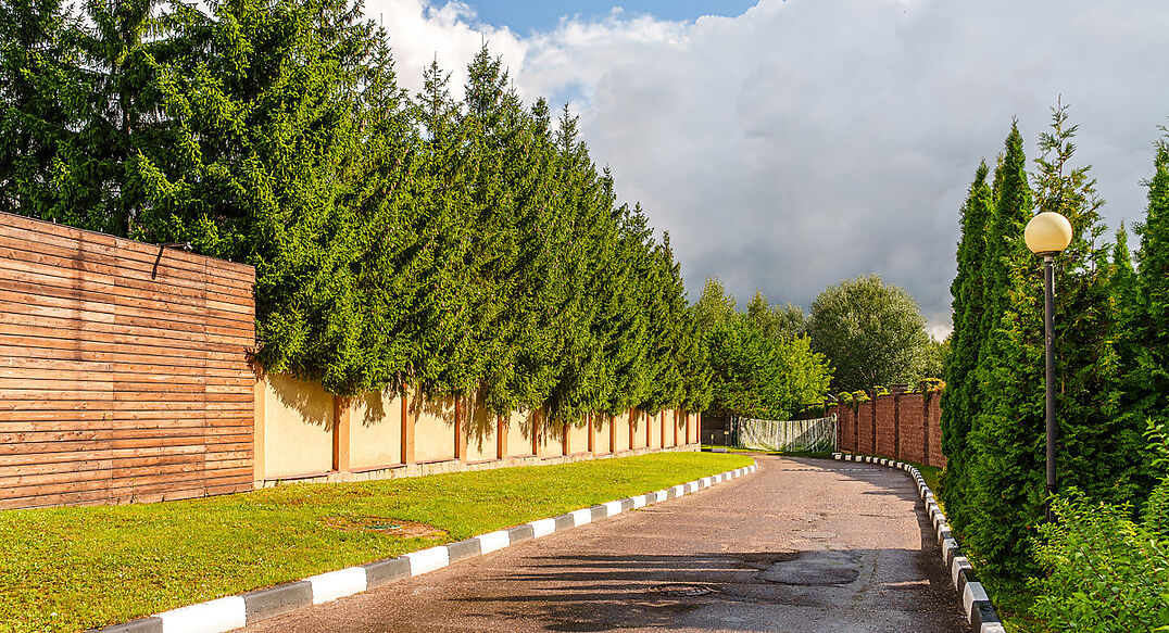 Архангельское-2