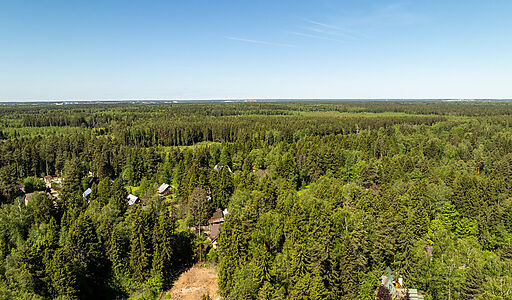 Лесной участок в Некрасовском