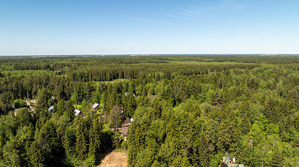 Лесной участок в Некрасовском