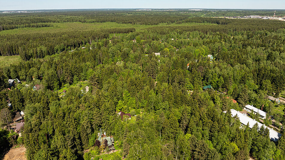 Лесной участок в Некрасовском