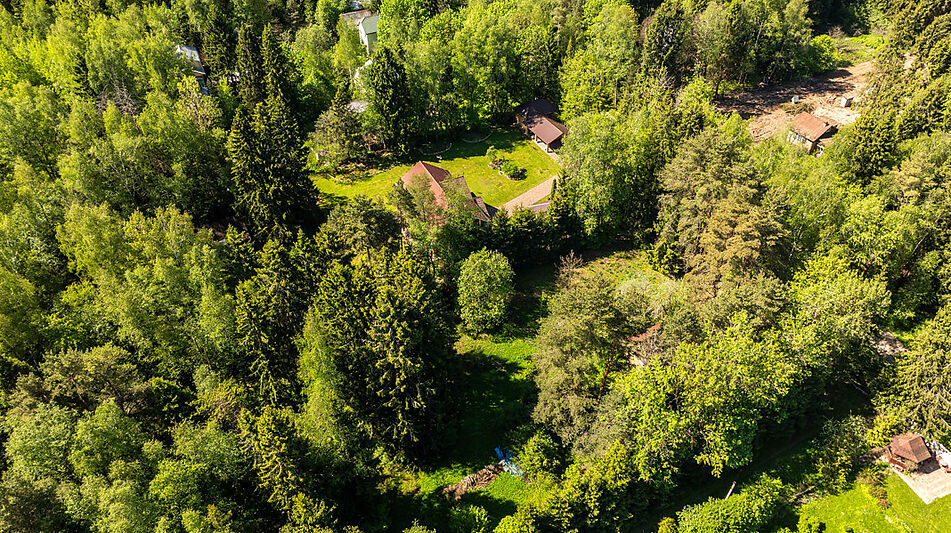 Лесной участок в Некрасовском