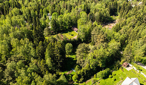 Лесной участок в Некрасовском