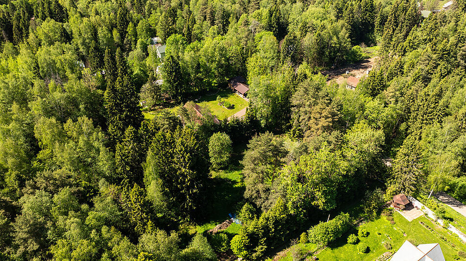 Лесной участок в Некрасовском