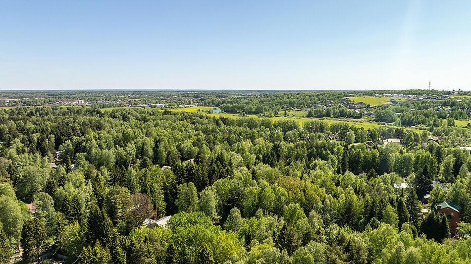 Лесной участок в Некрасовском