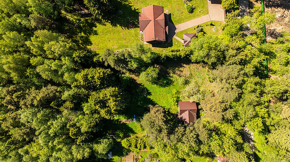 Лесной участок в Некрасовском
