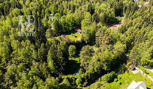 Лесной участок в Некрасовском