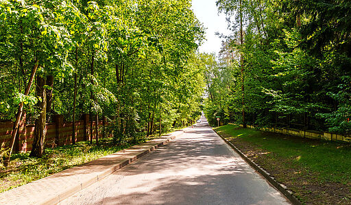 Косыгинские Дачи