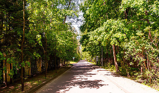 Косыгинские Дачи