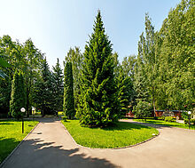 Дом у леса в КП Лазурь