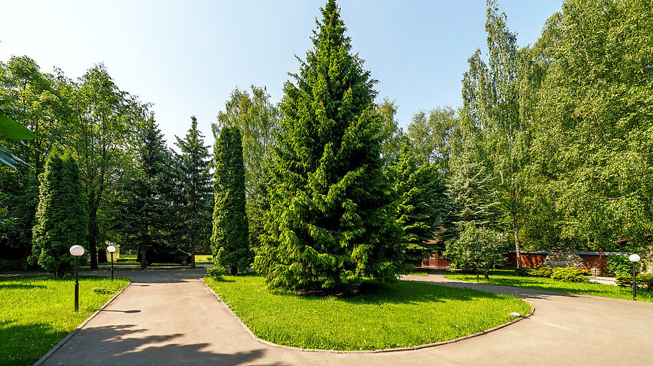 Дом у леса в КП Лазурь