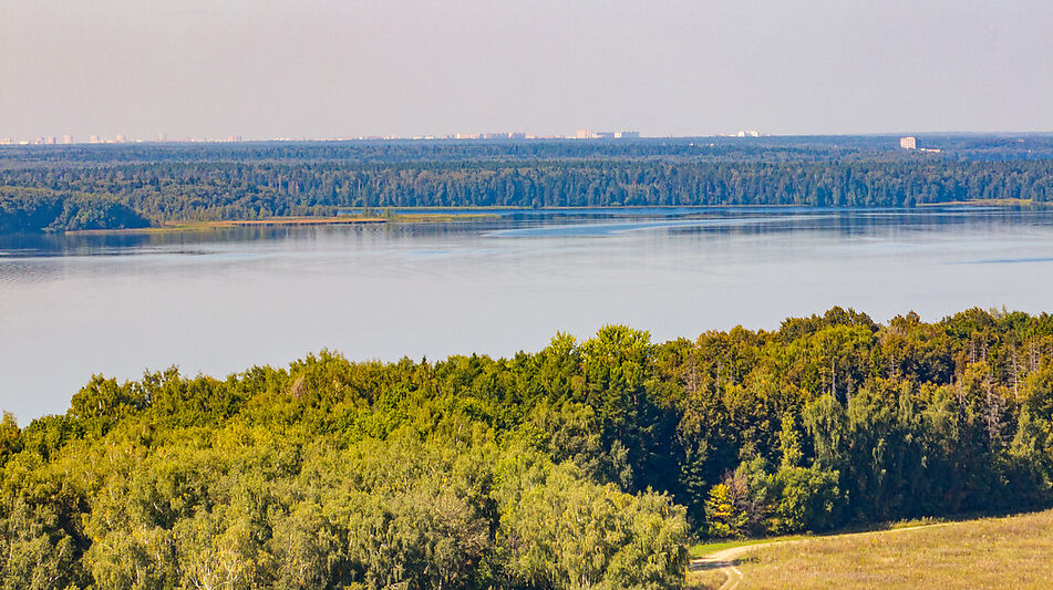 Дом у леса в КП 