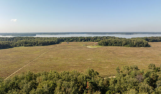 Дом у леса в КП 