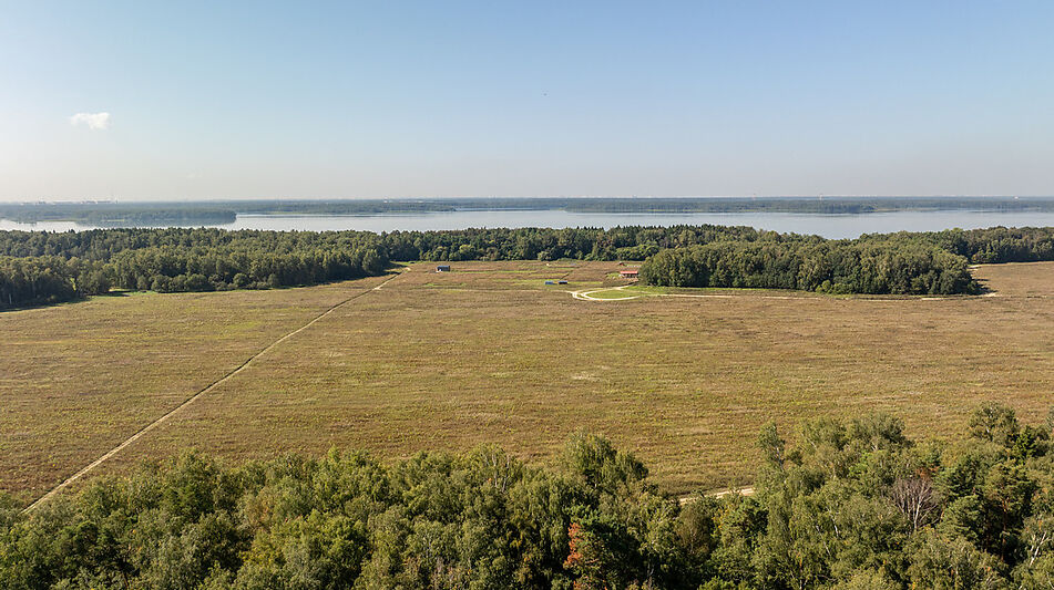 Дом у леса в КП 