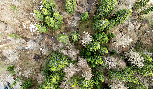 Ушаковские Дачи-1