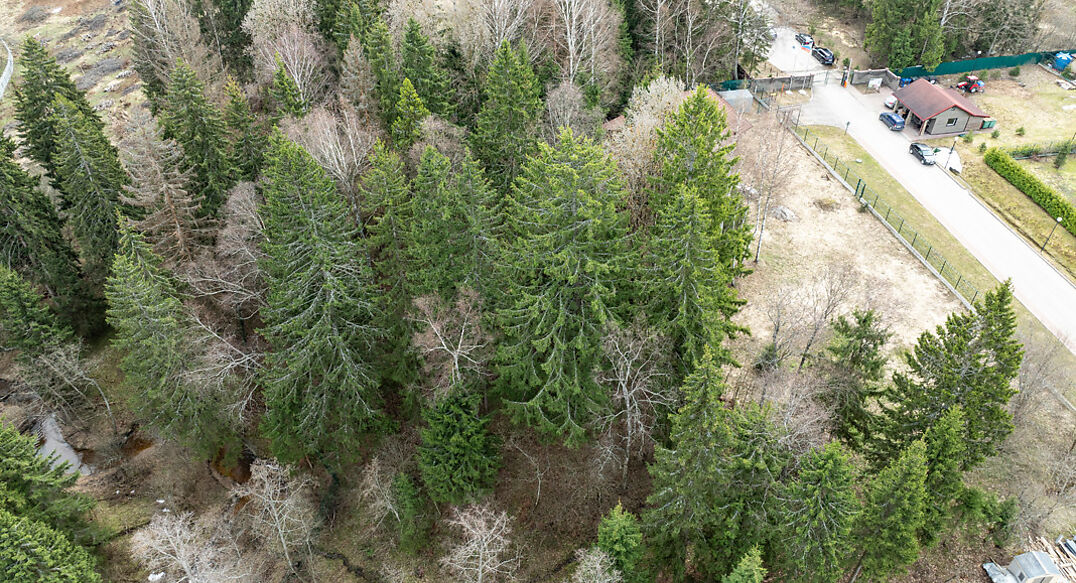 Ушаковские Дачи-1