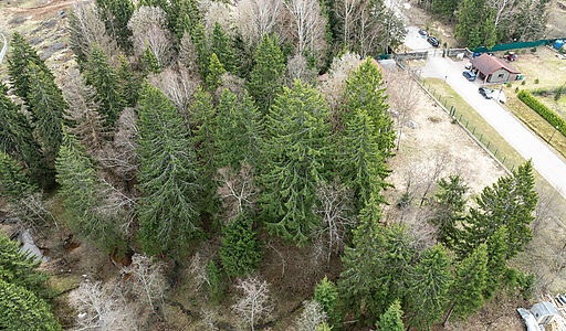 Ушаковские Дачи-1