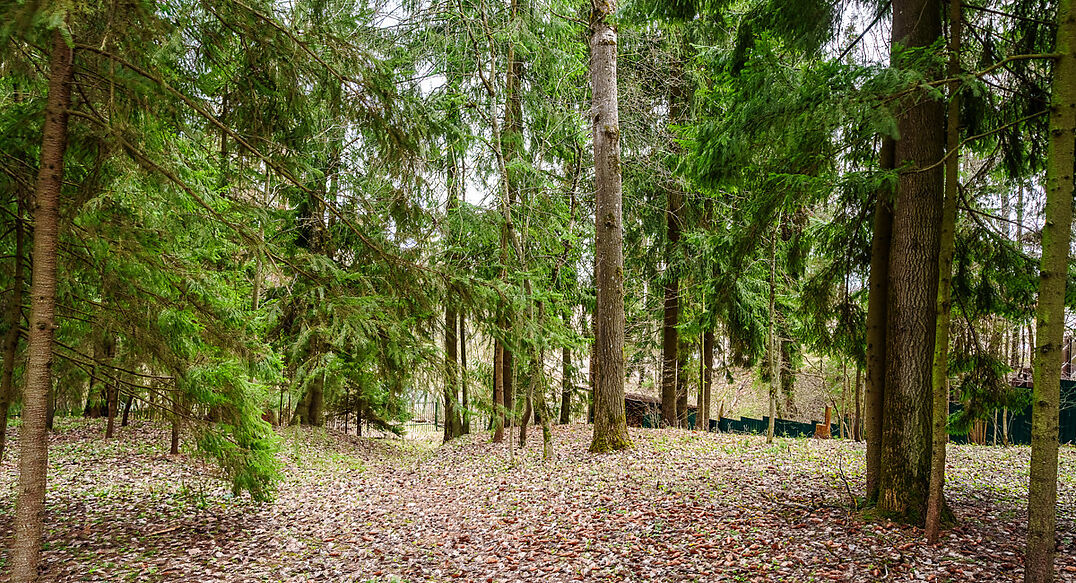 Ушаковские Дачи-1