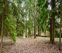 Ушаковские Дачи-1